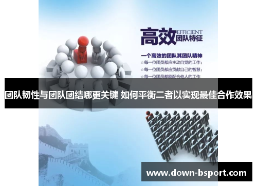 团队韧性与团队团结哪更关键 如何平衡二者以实现最佳合作效果 团队韧性与团队团结哪更关键 如何平衡二者以实现最佳合作效果