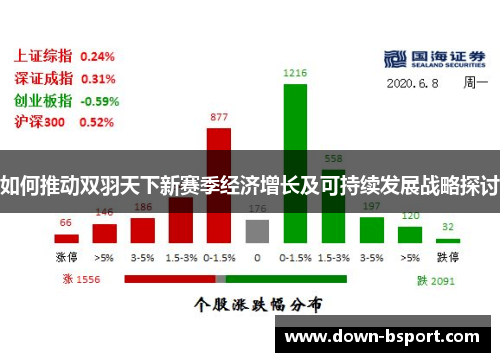 如何推动双羽天下新赛季经济增长及可持续发展战略探讨