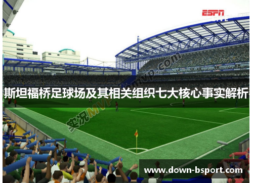 斯坦福桥足球场及其相关组织七大核心事实解析