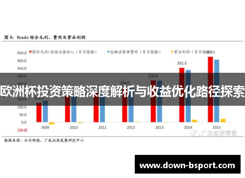 欧洲杯投资策略深度解析与收益优化路径探索