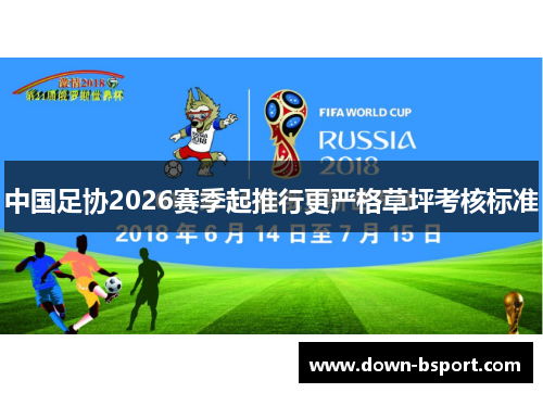 中国足协2026赛季起推行更严格草坪考核标准 中国足协2026赛季起推行更严格草坪考核标准