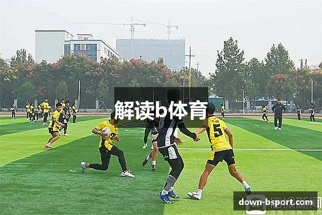 解读b体育